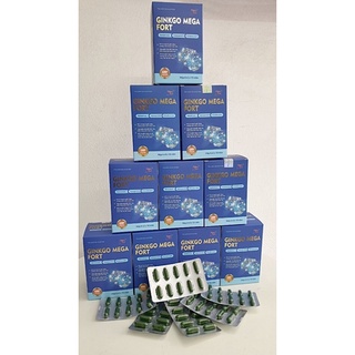 Bổ Não Ginko Mega Fort hoạt huyết, tăng cường tuần hoàn máu não, giúp giảm đau mỏi vai gáy, tê bì tay chân tay