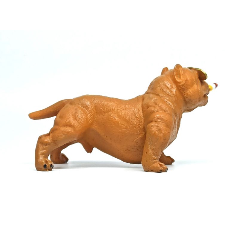 Chó Bull đặt tablo