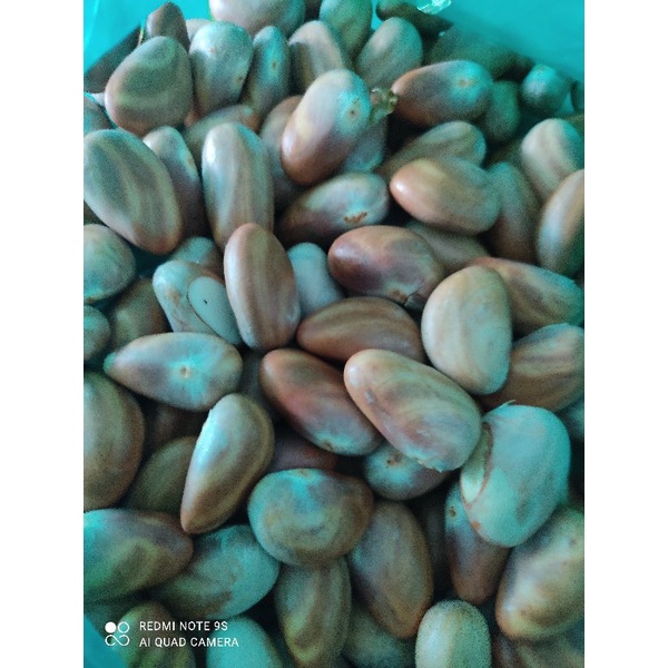 HỘT MÍT LÙI TROmón ngon của vùng quê thời còn bé