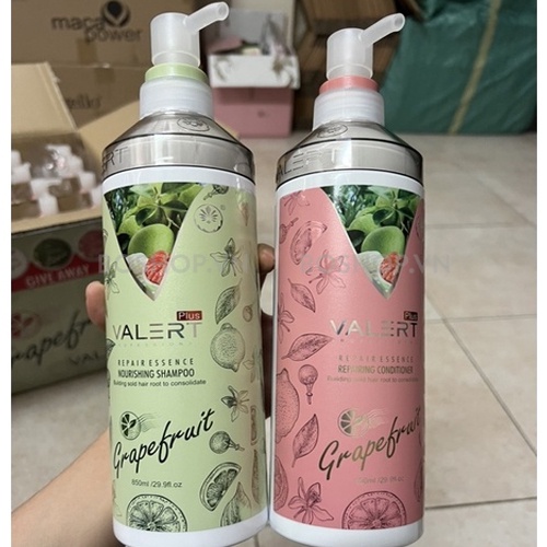 Bộ Dầu Gội Xả Bưởi Valert Grapefruit Siêu Mượt Chống Rụng Tóc, Phục Hồi Hư Tổn, Kích Thích Mọc Tóc 850ML - Wincy Mart