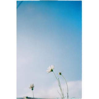 Kodak Proimage 100 date 06/2020