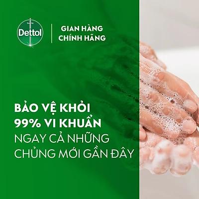 Nước Rửa Tay Dettol Kháng Khuẩn Chăm Sóc Da 250g Dettol Skincare Antibacterial Handwash 250g