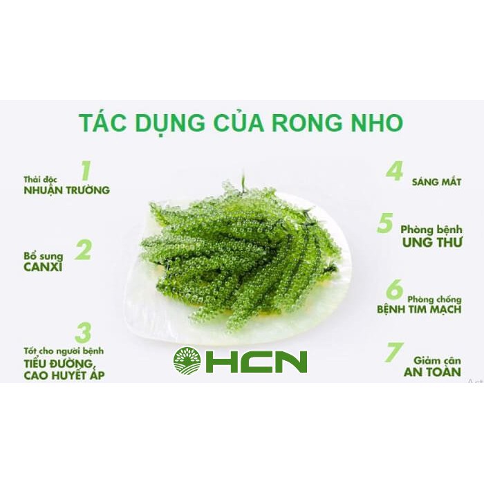 [TẶNG NƯỚC SỐT MÈ RANG] Rong Nho HOGI Tươi Tách Nước Cao Cấp Theo Công Nghệ Nhật Bản Hộp 120 Gram 6 gói | BigBuy360 - bigbuy360.vn