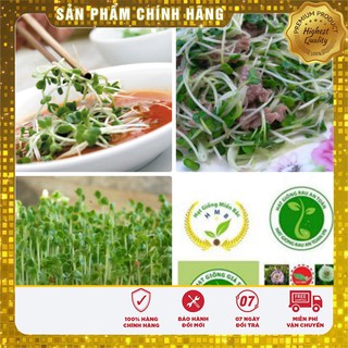 Hạt giống Rau mầm củ cải trắng (50gr)