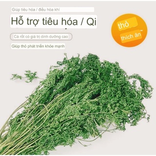 Lá cà rốt🥕