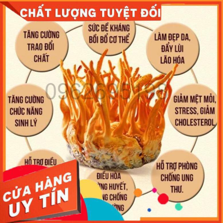 GIÁ TỐT: 2 hộp x 45g/ hộp Hoa Đông Trùng Hạ Thảo Hàn Quốc Dạng Khô cao cấp