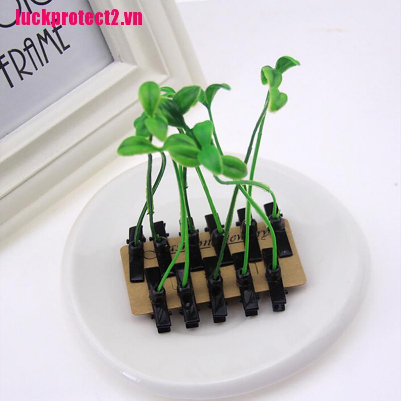 Bộ 4 Cây Nấm / Hoa / Nấm Vui Nhộn Thời Trang Unisex