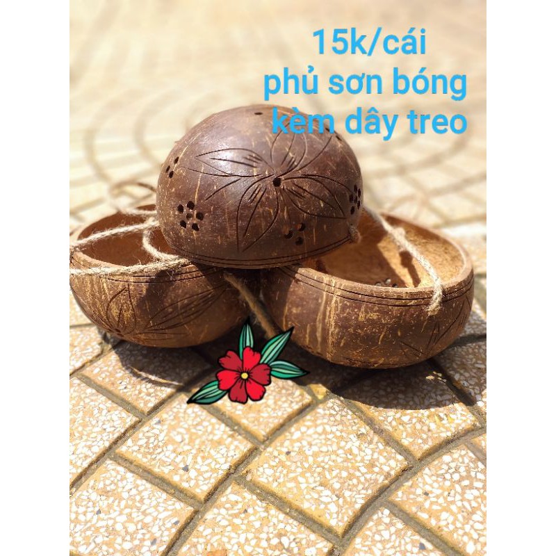 chậu gáo dừa trồng hoa, sen đá phủ sơn bóng kèm dây treo