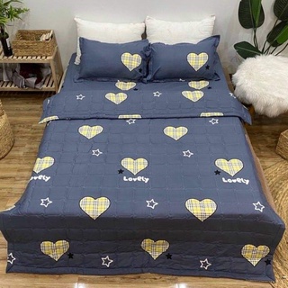 1m6 / 1m8 Set 5 món chăn hè ga gối 1 ga 2 áo gối nằm 1 áo gối ôm mẫu xả kho