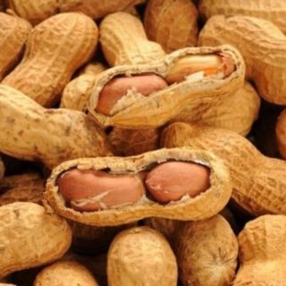 Lạc quê ( Nghệ an)