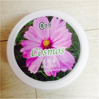 Hộp hạt giống hoa sao nhái/cúc chuồn chuồn (chậu + đất + hạt giống)