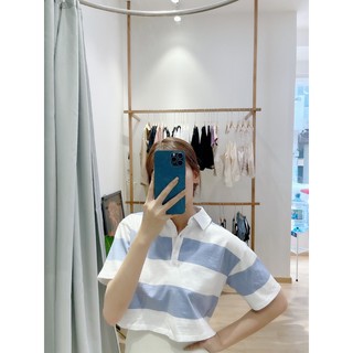 Áo polo Croptop sơ mi