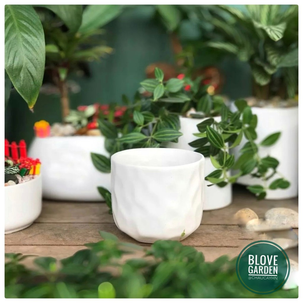 Chậu sứ Bát Tràng Hình mắt na trồng sen đá xương rồng,cây văn phòng, Decor Trang trí nhà cửa cực xinh sắn