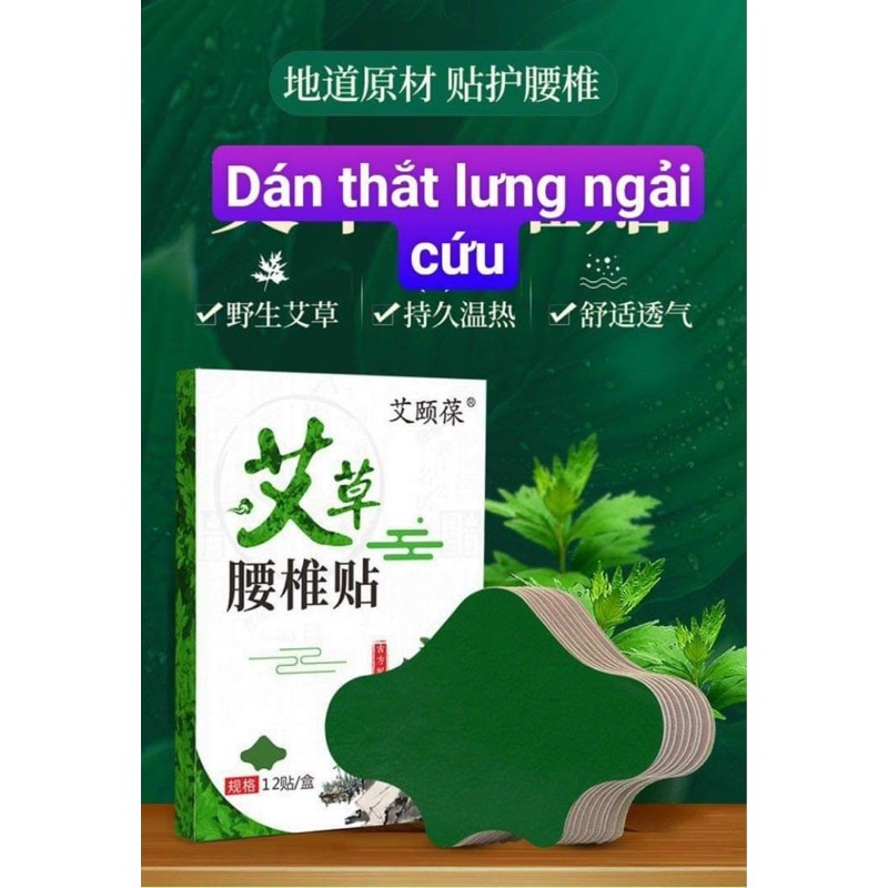 12 miếng dán ngải cứu