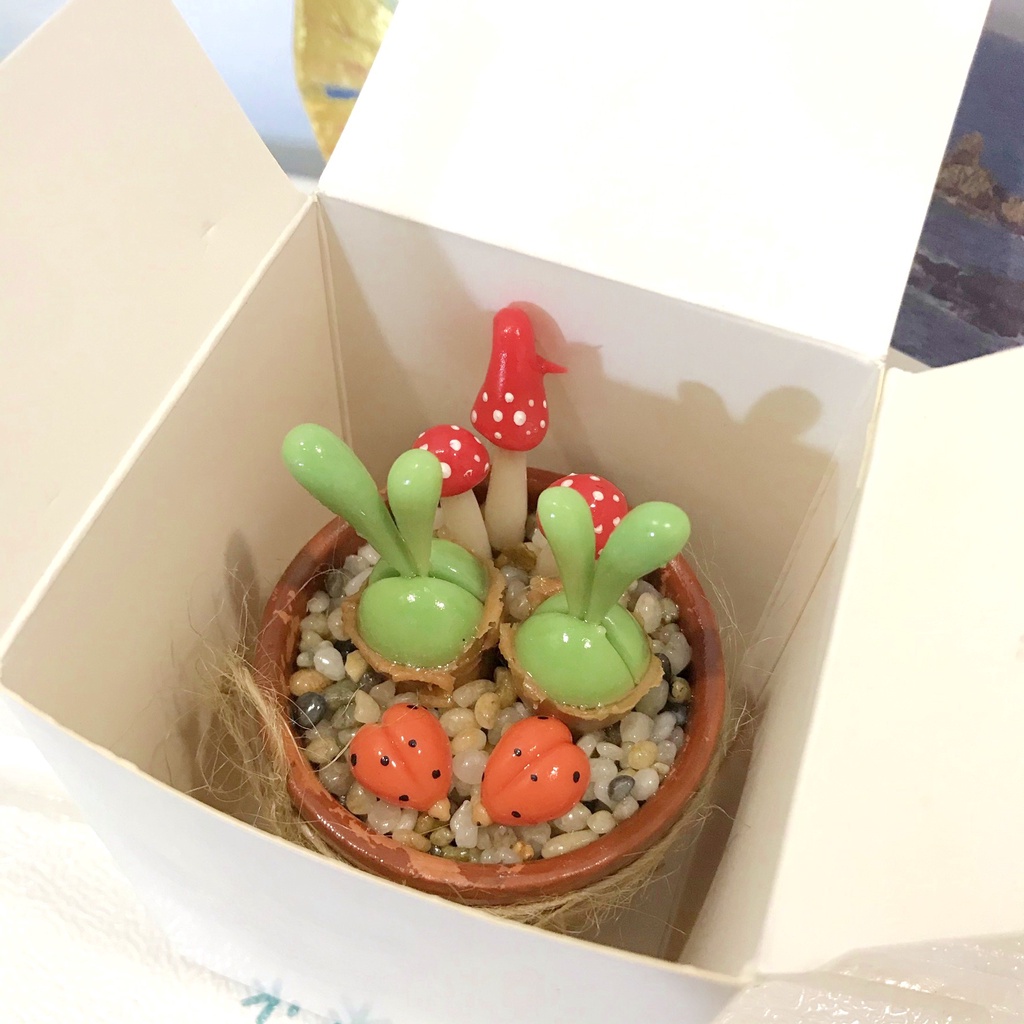 Chậu sen đá tai thỏ xanh size trung, sen đá làm từ đất sét