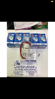 2 Con triết áp quạt trần 220V 1000W