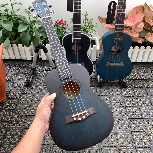 Ukulele concert xanh rin