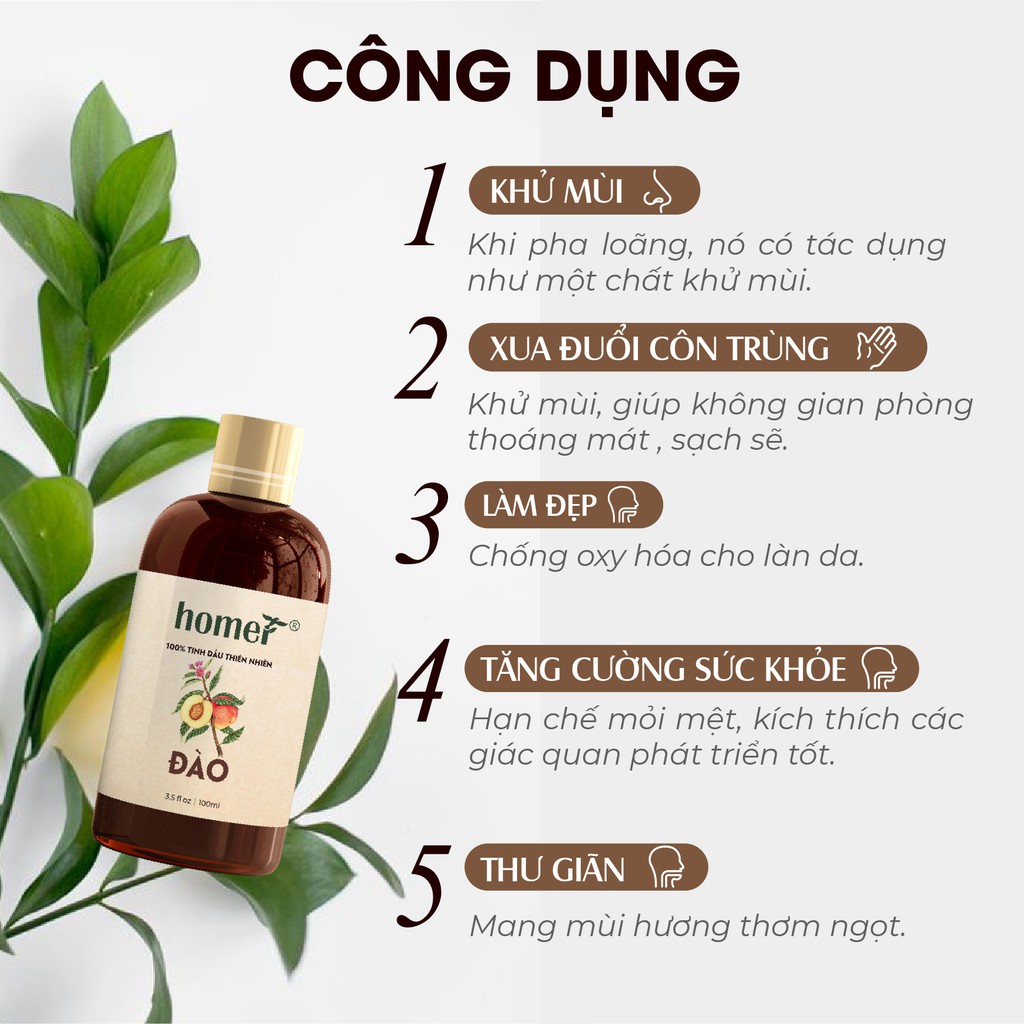 Tinh dầu Đào Homer giá dùng thử- Peach Essential Oil - đạt chuẩn chất lượng kiểm định