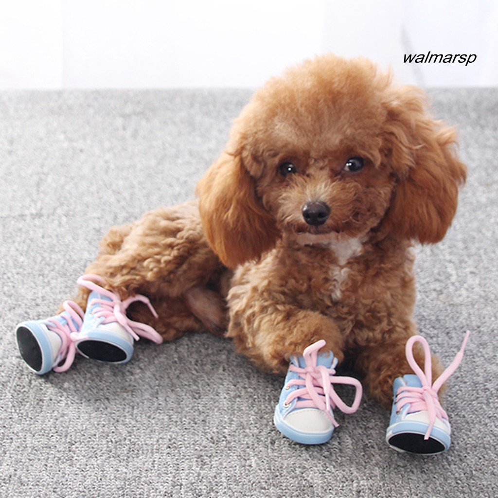 Set 4 Giày Sneaker Thoáng Khí Chống Trượt Cho Thú Cưng