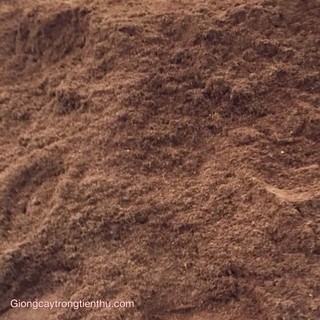 GIÁ THỂ MÙN XƠ DỪA(DỪA NGHIỀN) hàng nhập khẩu và phân phối chính hãng.