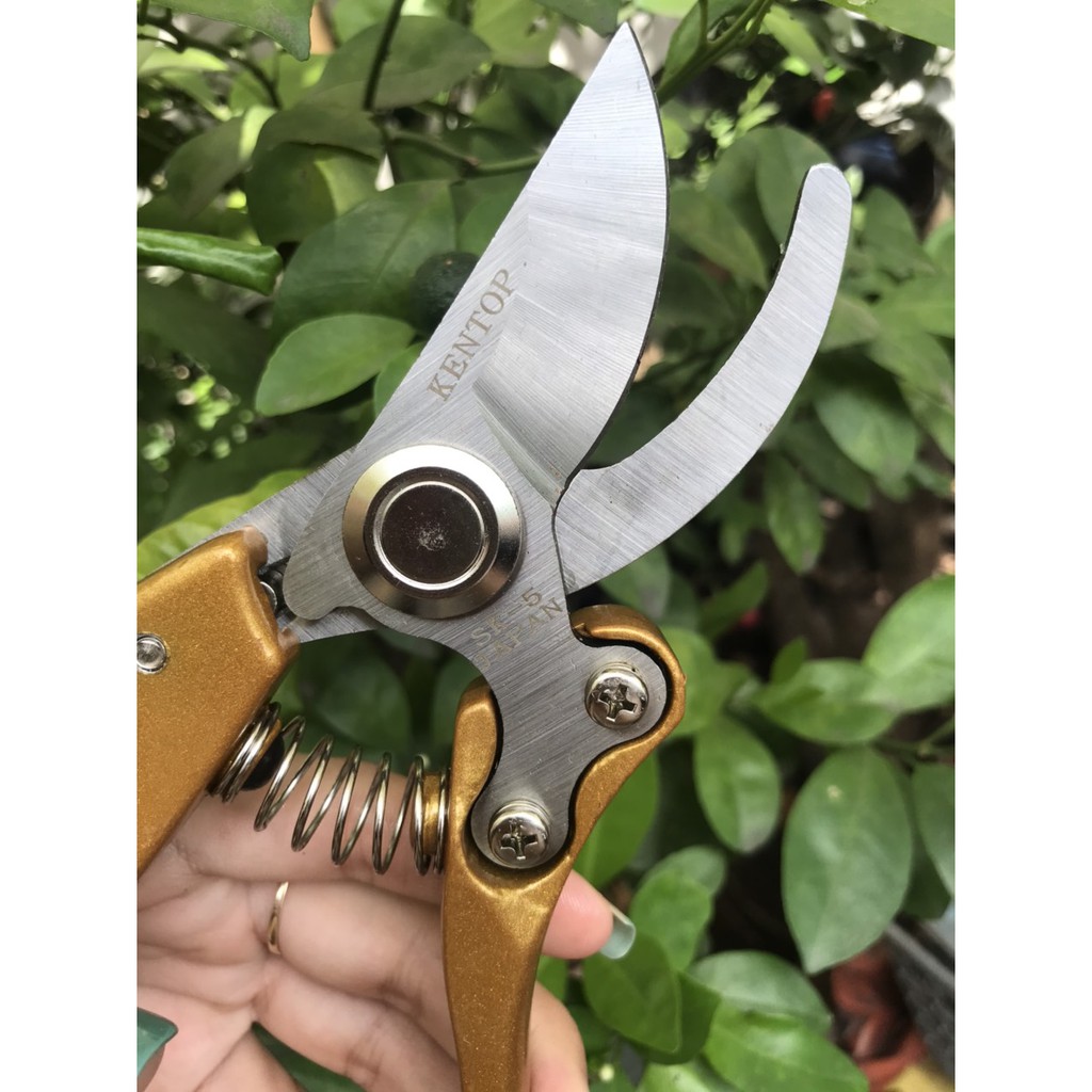 Kéo cắt cành cây chính hãng kentop sk5
