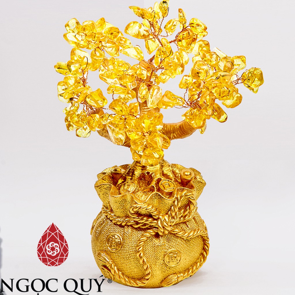 Cây tài lộc may mắn