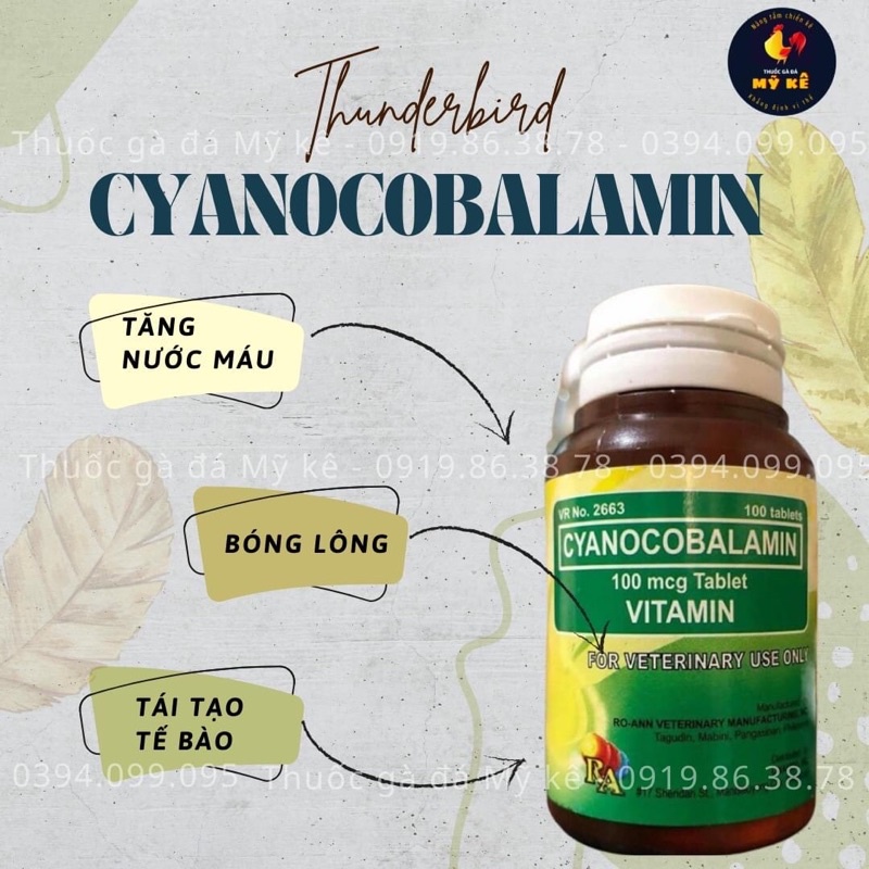 Thuốc gà đá Vitamin B12 cho gà nhập khẩu từ Phillipines - hộp 100 viên