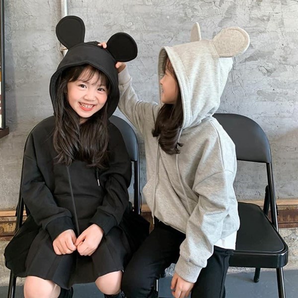 Áo nỉ hoodie cho bé 2610NH