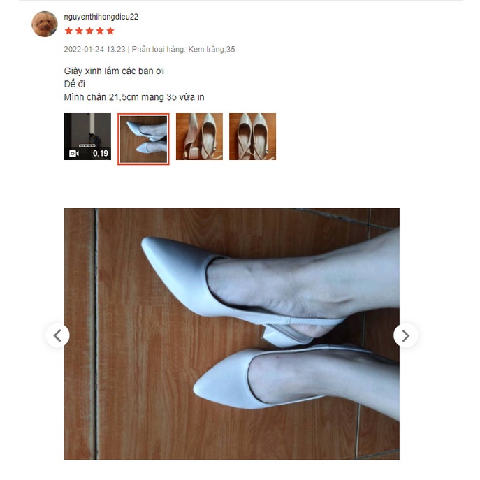 Giày sandal nữ cao gótslingback vintage quai hậu mũi nhọn bít mũi  gót nhọn 5 phân Hàn Quốc _ CG-0GIAYDEDANGMI