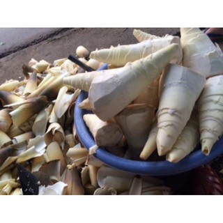 Măng mai khô nhà làm không chất bảo quản 100g - giadungBT
