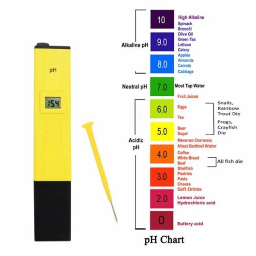 Bút đo độ pH PH-( Máy đo ph, dụng cụ đo độ PH )