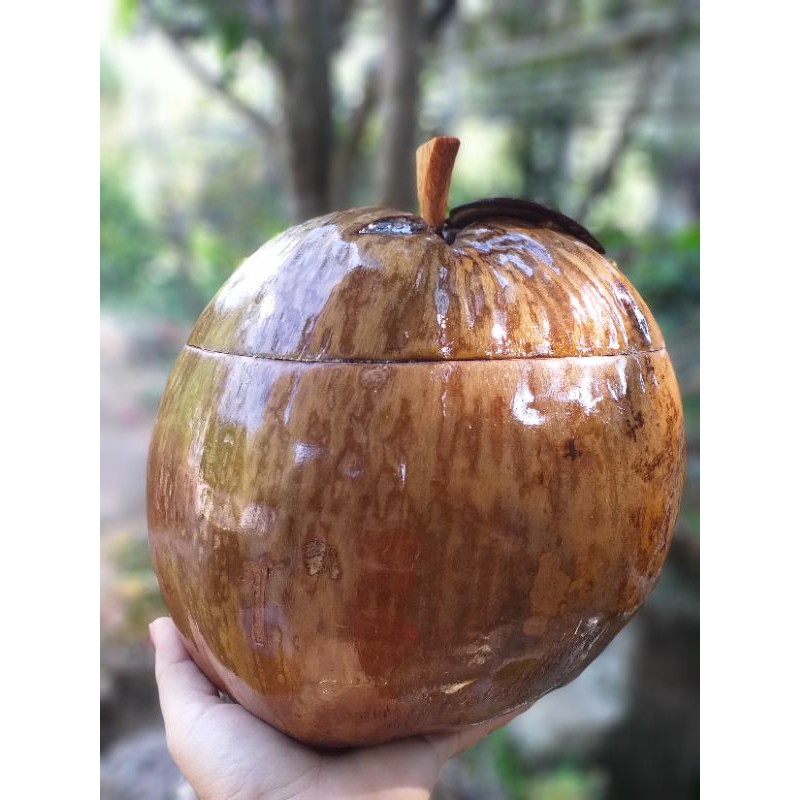 Trái dừa giữ nhiệt bình trà. Giữ nước trong bình ấm cả ngày. Gần gũi với thiên nhiên.