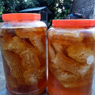 1kg mật ong rừng nguyên sáp hảo hạng