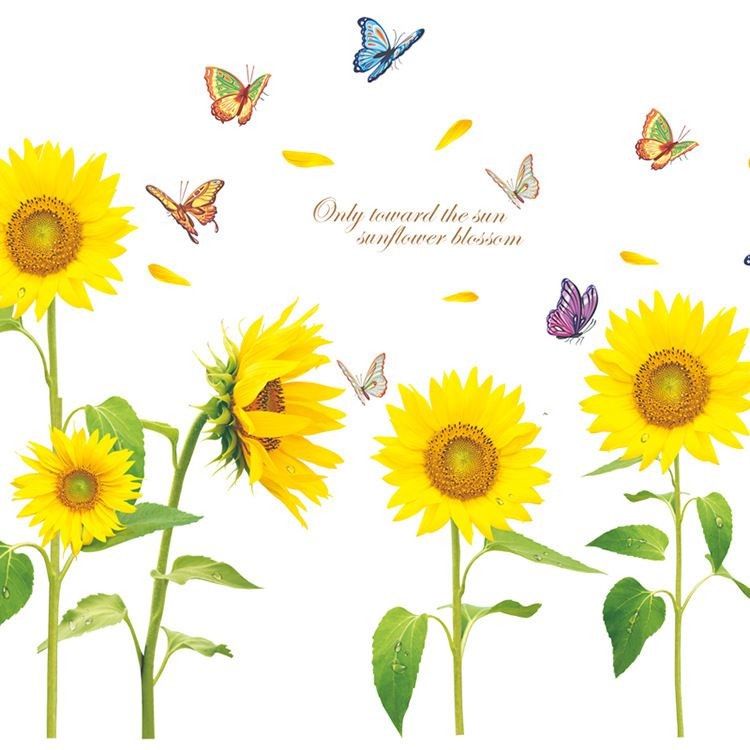 Decal dán tường Hoa hướng dương trang trí nhà cửa dễ thương, sáng tạo - Decal AmyShop