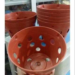 10 cái chậu trồng lan rộng 14.5cm x10cm