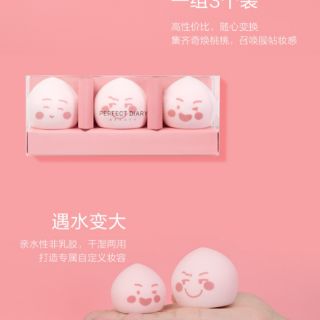Bộ Dụng Cụ Trang Điểm Hoàn Hảo