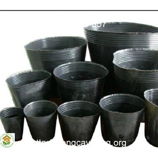 - Combo 10 chậu trồng hoa, cây cảnh C9 hàng đẹp, chuyên cho cây hoa cảnh.