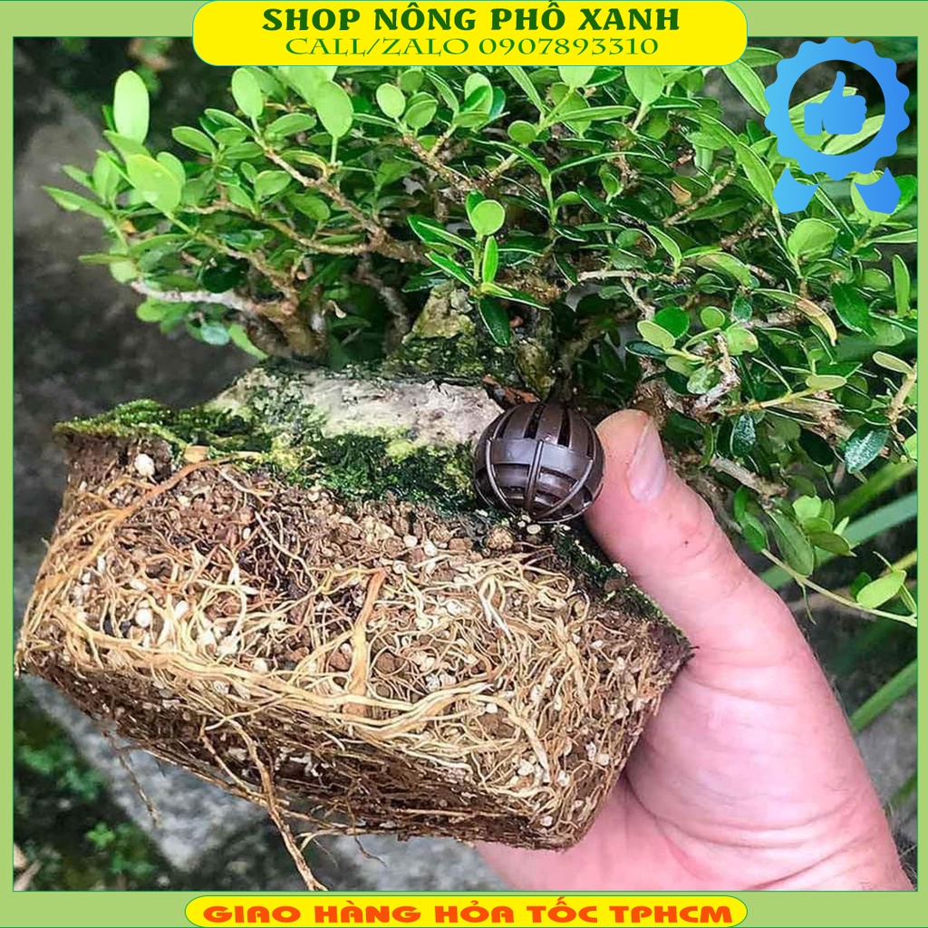 Lẻ 1kg Đất sét nung Akadama Grand Nhật Bản trộn giá thể, rải mặt chậu trồng sen đá, sương rồng, cây kiểng bonsai