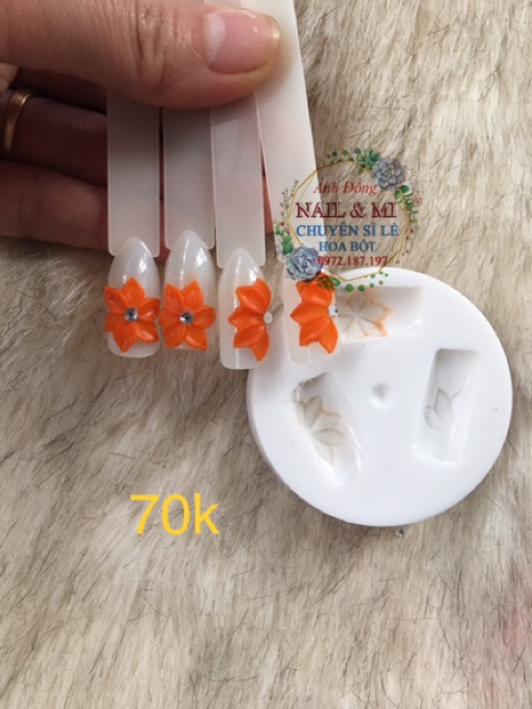 Trọn bộ khuôn hoa bột nail