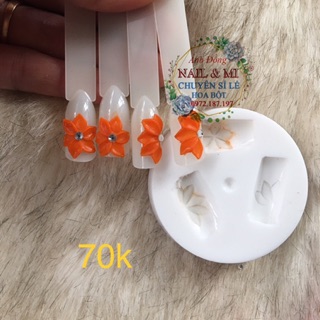 Trọn bộ khuôn hoa bột nail