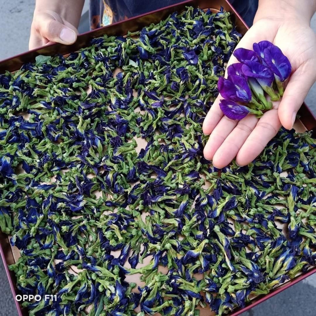 Hoa đậu biếc sấy khô 100gr, làm thức uống detox, làm màu xôi, thanh nhiệt giải độc, hỗ trợ giảm cân | BigBuy360 - bigbuy360.vn