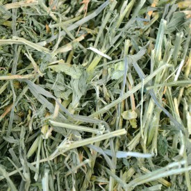 1kg cỏ alfalfa giàu dinh dưỡng cho thỏ-bọ ú- guinea pig