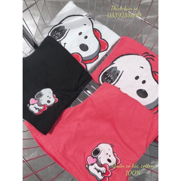 SET CÚN ĐÙI ĐÁNG YÊU HÀNG NHẬP KÈM HÌNH THẬT