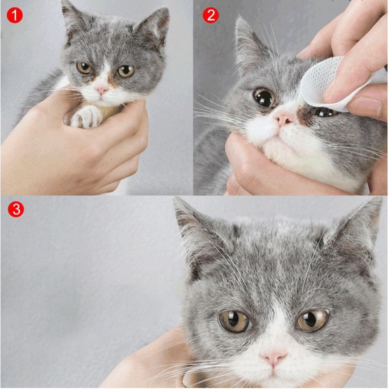 Bông Lau Mắt Thú Cưng Chuyên Dụng Wipe Pet