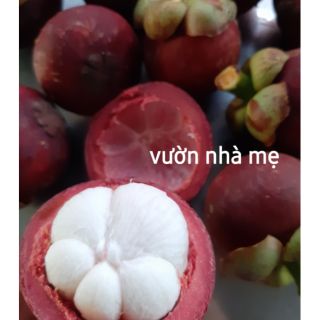 Trái măng cục hữu cơ nhà trồng
