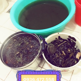 Lá tắm sau sinh dân tộc Dao