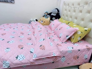 Chăn ga gối trần bông
