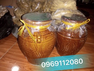 CÁ THÍNH CHUA PHÚ THỌ