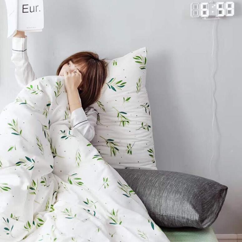 [Chi tiết] Chăn Ga Gối Cotton Living "Mầm Lá Xanh" 4 món