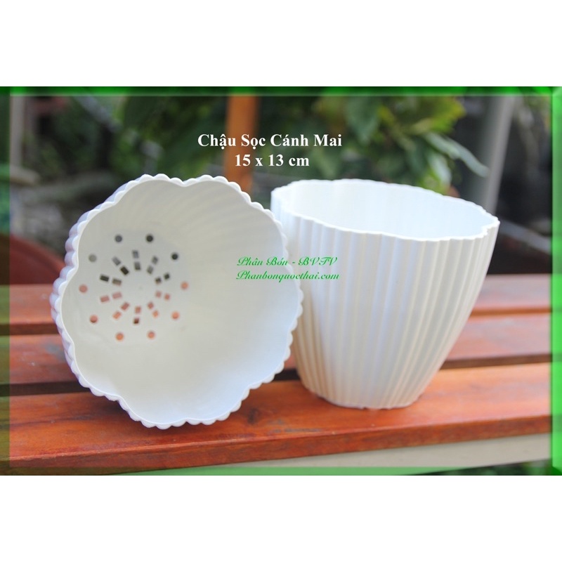 CHẬU NHỰA TRÒN SỌC CÁNH HOA MAI TRỒNG CÂY – KÍCH THƯỚC 15 * 13 CM